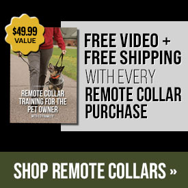Free Video + Free Shipping with Every Remote Collar Purchase