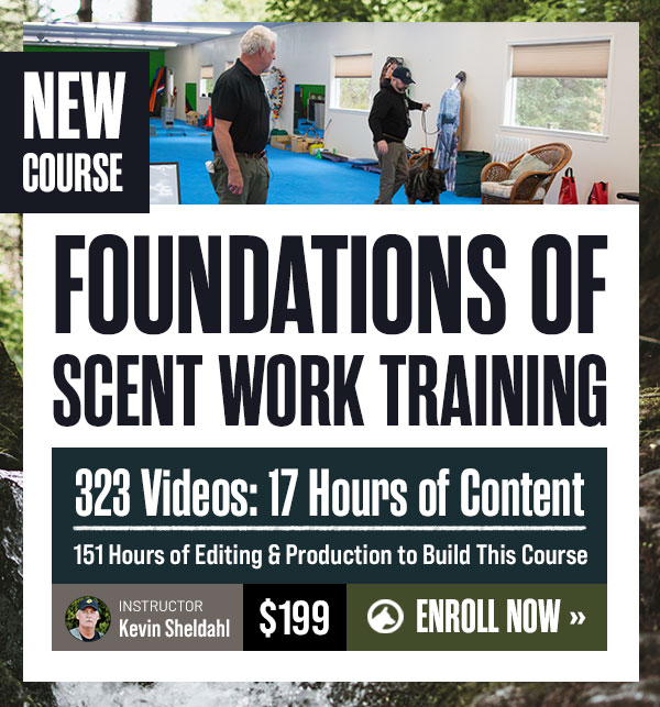 New Course: Foundations of Scent Work Training