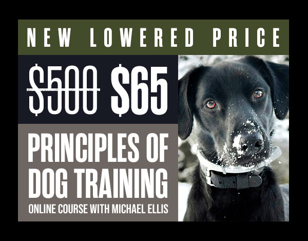 PODT 1 & 2 Are $65 Each