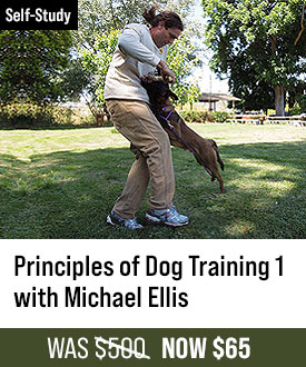 The Principles of Dog Training 1 with Michael Ellis