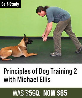 The Principles of Dog Training 2 with Michael Ellis