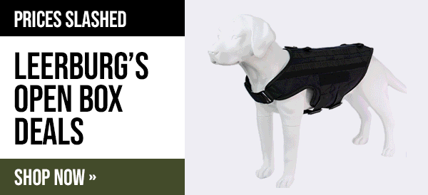 Leerburg Warehouse Sale