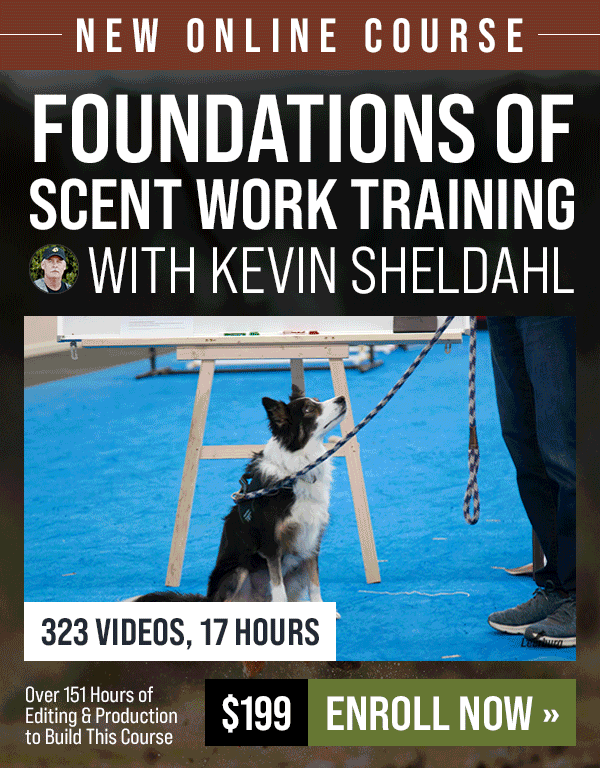 New Course: Foundations of Scent Work Training