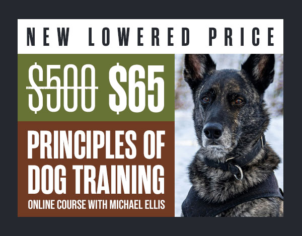 PODT 1 & 2 Are $65 Each