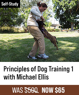 The Principles of Dog Training 1 with Michael Ellis