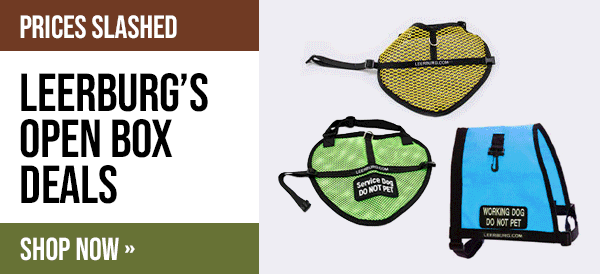 Leerburg Warehouse Sale