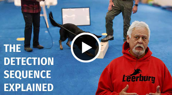 The Detection Sequence Explained