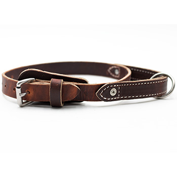 1-in Leather Collar with Handle