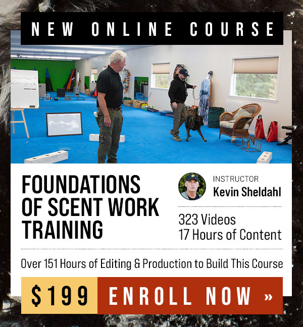 New Course: Foundations of Scent Work Training