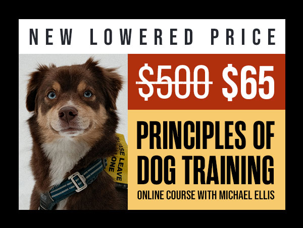 PODT 1 & 2 Are $65 Each