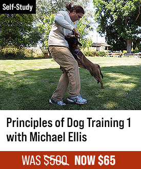 The Principles of Dog Training 1 with Michael Ellis