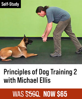 The Principles of Dog Training 2 with Michael Ellis
