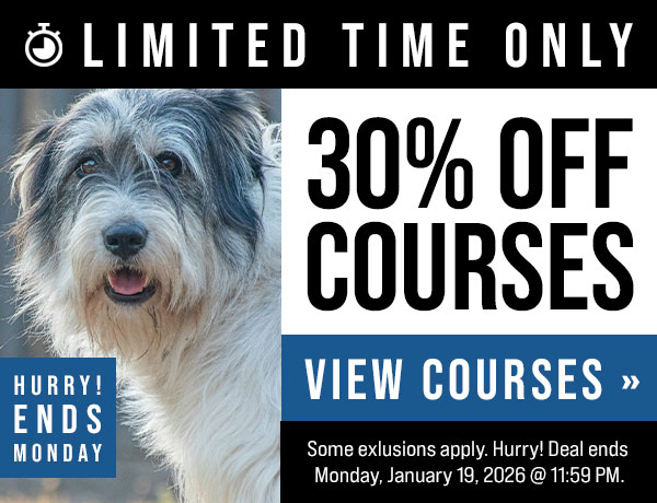 30% Off Courses