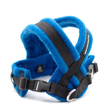 EasyWalk Padded Harness