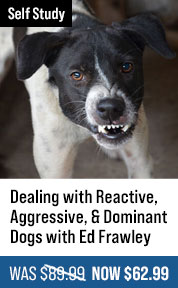 Dealing with Reactive, Aggressive, & Dominant Dogs