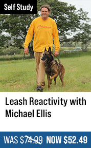 Leash Reactivity with Michael Ellis