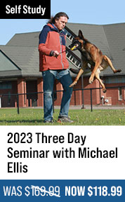 2023 Three Day Seminar with Michael Ellis