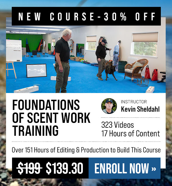 New Course: Foundations of Scent Work Training