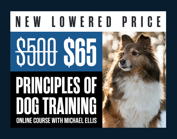 PODT 1 & 2 Are $65 Each