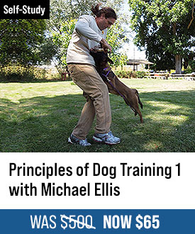 The Principles of Dog Training 1 with Michael Ellis