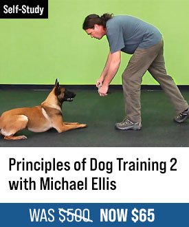 The Principles of Dog Training 2 with Michael Ellis
