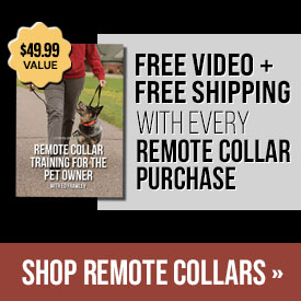 Free Video + Free Shipping with Every Remote Collar Purchase