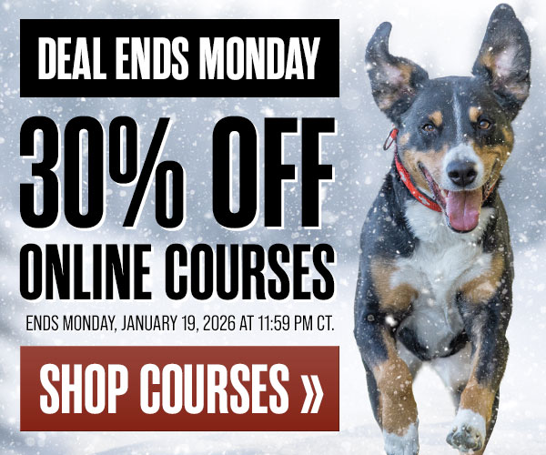 30% Off Courses