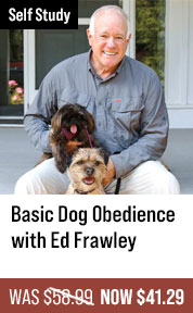 Basic Dog Obedience