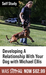 Developing A Relationship With Your Dog with Michael Ellis
