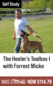 The Heeler's Toolbox I / Beginner