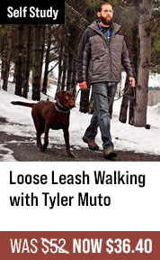 Loose Leash Walking