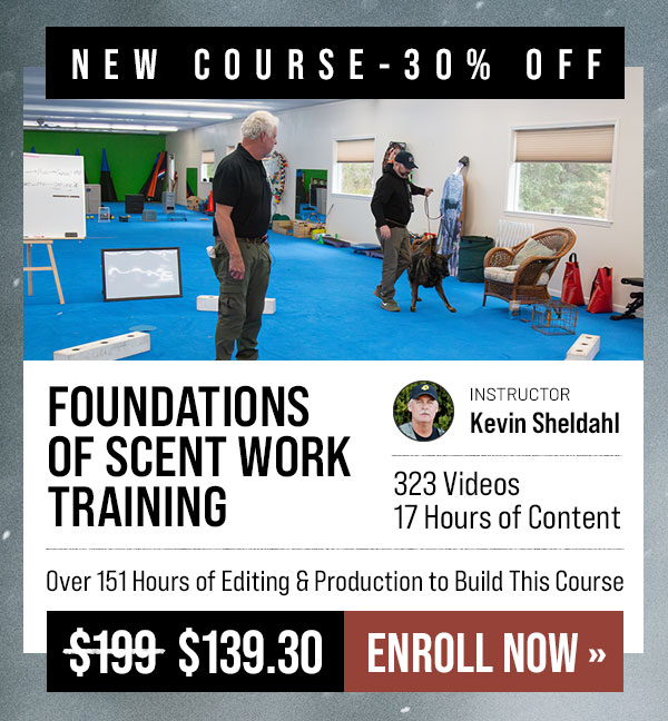 New Course: Foundations of Scent Work Training