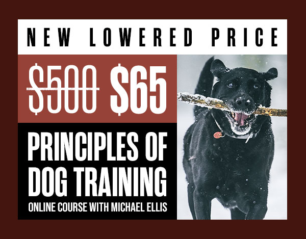 PODT 1 & 2 Are $65 Each