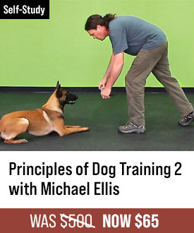 The Principles of Dog Training 2 with Michael Ellis