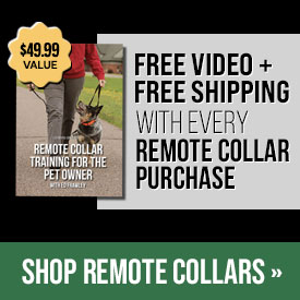 Free Video + Free Shipping with Every Remote Collar Purchase
