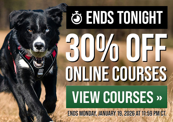 30% Off Courses