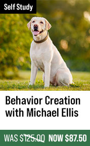 Behavior Creation Master Class with Michael Ellis
