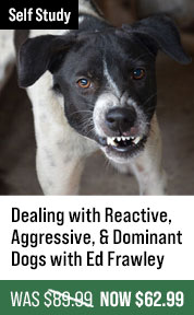 Dealing with Reactive, Aggressive, & Dominant Dogs