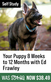 Your Puppy 8 Weeks to 12 Months