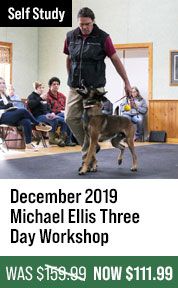 December 2019 Michael Ellis Three Day Workshop