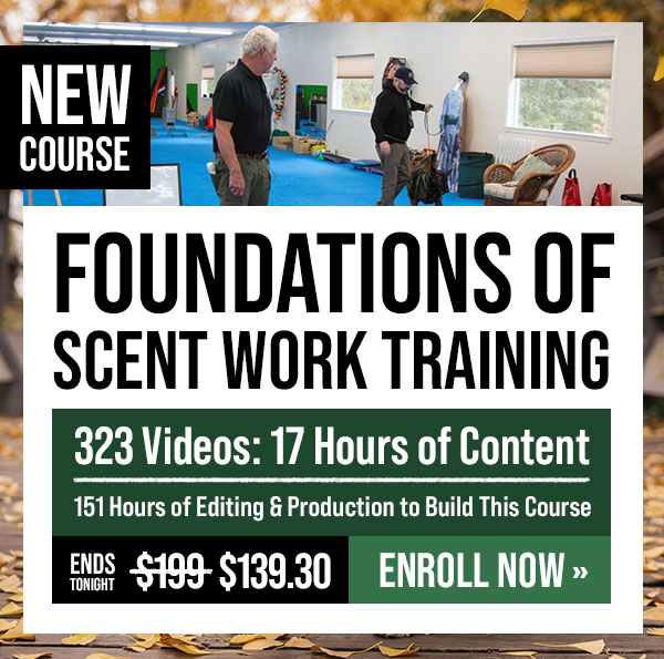 New Course: Foundations of Scent Work Training