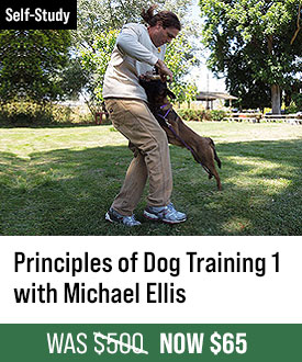 The Principles of Dog Training 1 with Michael Ellis