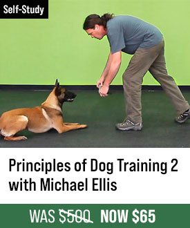 The Principles of Dog Training 2 with Michael Ellis