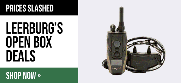 Leerburg Warehouse Sale