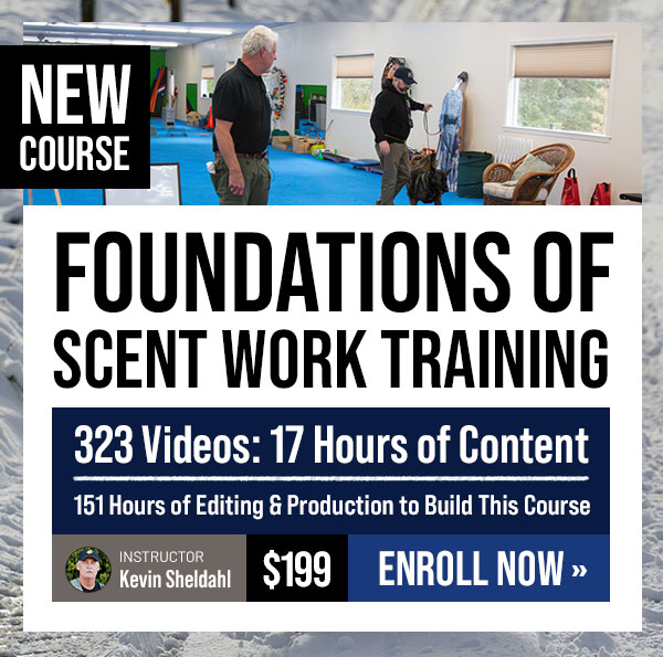 New Course: Foundations of Scent Work Training
