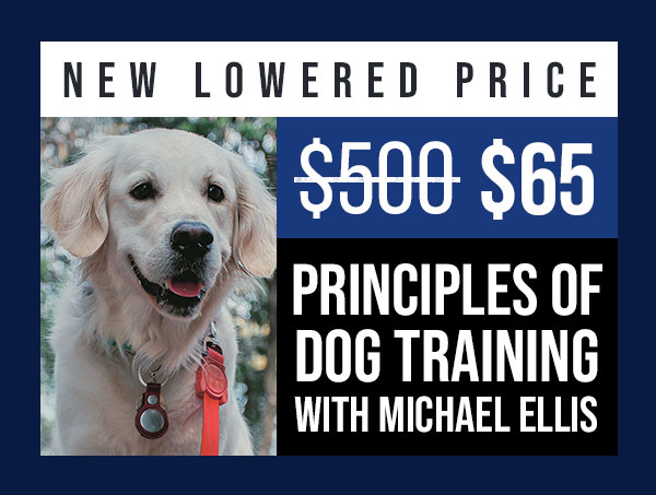 PODT 1 & 2 Are $65 Each