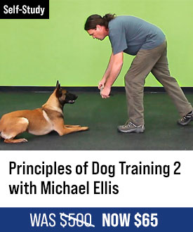 The Principles of Dog Training 2 with Michael Ellis