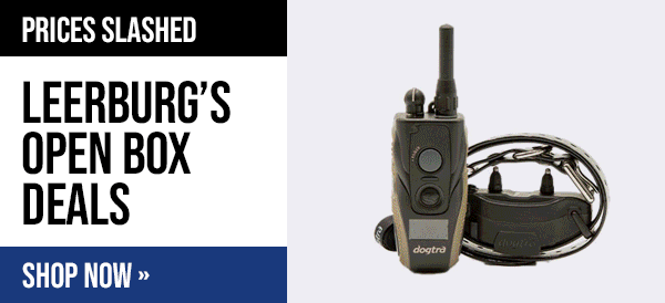 Leerburg Warehouse Sale