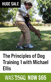 The Principles of Dog Training 1