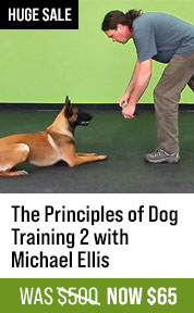 The Principles of Dog Training 2